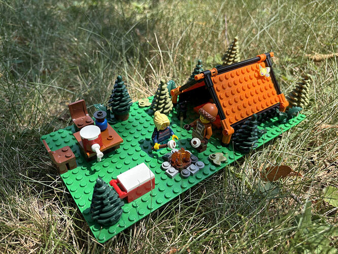 Petit feu de camp en camping